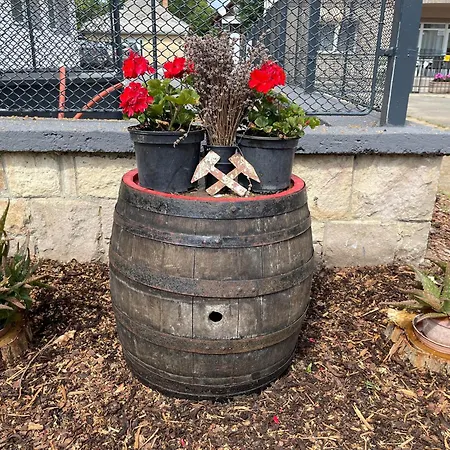 Orion Panzio Отель типа 