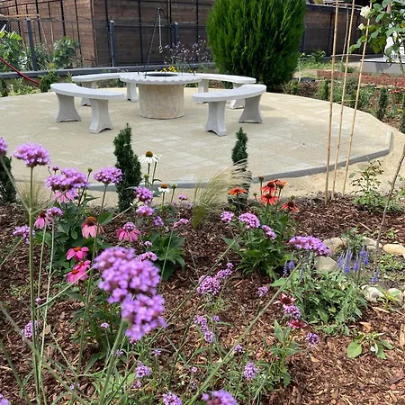 Orion Panzio Отель типа 