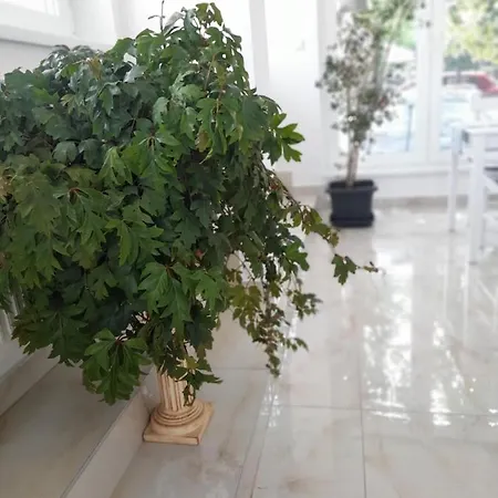 Bed & Breakfast Orion Panzio Hajduszoboszlo
